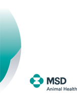 MSD Animal Health Russia